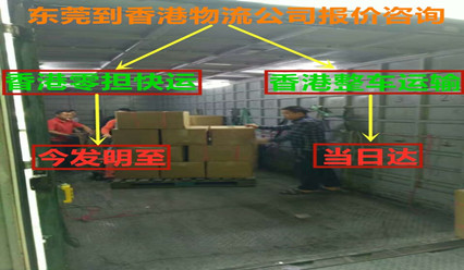 東莞到香港物流一站式解決方案,門(mén)到門(mén)運(yùn)輸服務(wù)